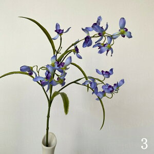    2{ ԃ j  䋟 d  A[gt[ A[eBtBVt[ ϗtA JXj v[g CeA JƏj ̓  tFCNO