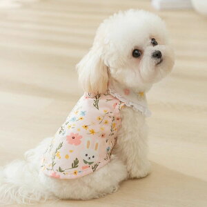 yẴybgzgCv[h?rVt[[p ʋCQxXg ETMƏԕfUC LpN[xXgi6TCYWJj ĕ