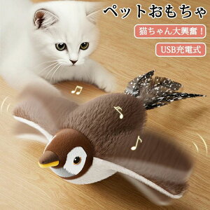 ybg L L d USB[d ybg L炵  ʂ V ^s  A o 