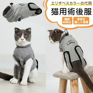 L p㕞 p㒅 rߖh~ GUxXJ[̑p ̕ی r\ S p[XȂ L pEFA Ags[ AM