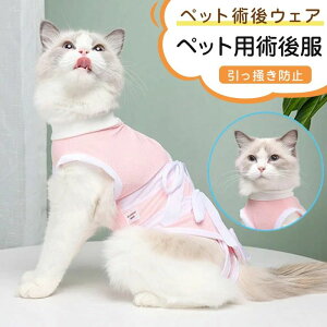 L p㕞 p㒅 rߖh~ GUxXJ[̑p ̕ی r\ S p[XȂ L pEFA Ags[ AM