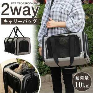 L  bV y ybgL[obO ybg L[ Ck ˂ lR ^ 10kgȓ s a@ hCu  S ړ0 