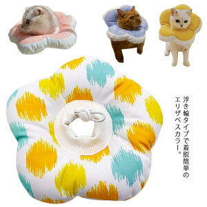 GUxXJ[ L ^ ybgp \ rߖh~ L \tg ی y _炩 ybgی ی D p pEFA 畆a ~h~ 