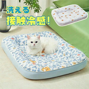 ybgxbh Ђ ėp  􂦂 ėp ėp}bg  L N[ N[}bg ybgp t ₽ ߂ p}bg 