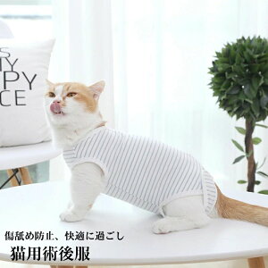 Lpp㕞 p ybgpp㕞 pi Lp p _炩 y rߖh~ p ޖh~ 앞 Rbg 畆ی ybg