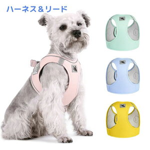 p  n[lX ybgp Lp  U o n[lX  hbO n[lX L 铹 ˃e[v Ȃ bV 