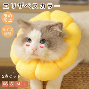 GUxXJ[ ybgpi NbV 2_Zbg ybgObY Lpi pi \tg _炩 TCY y p p 