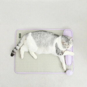 yċG/ybgpzLpN[}bg pЂpxbh WFNbV ΍ ybgpp}bg Lxbh p}bg ̂^Cv 􂦂