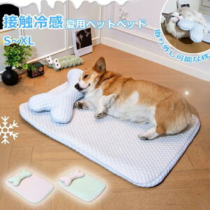 ybgxbh ėp L xbh xbh ڐG Ђ}bg NbV  ⊴ p}bg _炩 Ђ ybgpi }bg