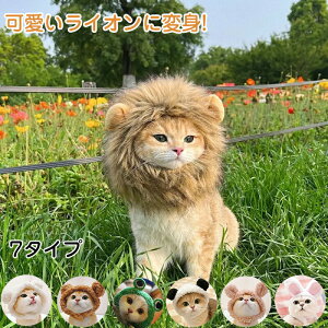 nEB ybgpXq 蕨 CI JG N} ^ ˂̂Ԃ LXq RXvߑ t EȒP RX`[ ϐgObY ybgpi  U s ʐ^ lC