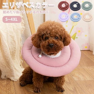 GUxXJ[ _炩 \tg  L  ybgp pi ybgp񕜋 p  p rߖh~ rߖh~ ی h~  畆  Lp p _炩 y 