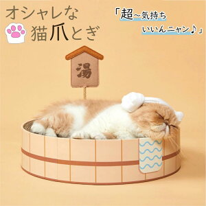 a  L܂Ƃ lC Lp܂Ƃ i{[ XNb`[ L Lxbh XgX ی` ܖ   ikC  j