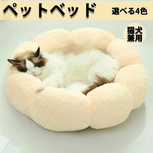 ybgnEX ی^ Ԍ^ Lpxbh ybgxbh xbh  Lxbh n nEX lRxbh N[V ӂ 􂦂 pxbh LnEX NbV ^ ^ ʔN NbV