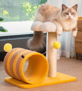 LnEX lR Lp L^[ u ߂Ƃ XgX Lbg^[ ܂Ƃ ˂ Lp ܌   L ی^  ]|h~ B nEX ȃXy[X u^  [ Ƌ 