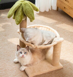 nEX ˂ Lp ܌   L Lbg^[ ܂Ƃ ی^  ]|h~ B LnEX lR Lp L^[ u ߂Ƃ XgX ȃXy[X u^  [ Ƌ 