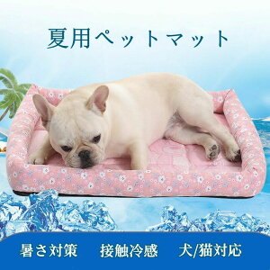 ⊴}bg  ybg Ђ}bg yXS-XXLz  L ybgp N[}bg ⊴}bg ybg  L p}bg ybg }bg lpЂ}bg Ђ ybg}bg ėp ⊴W