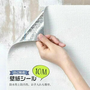 ǎ 10m  ǎV[  h hɂD ǎ ^C ͂ lC̃Lb` ʏ gC CeA n DIY ϖՐ h S Cɂ\ 嗝 h Lb` 