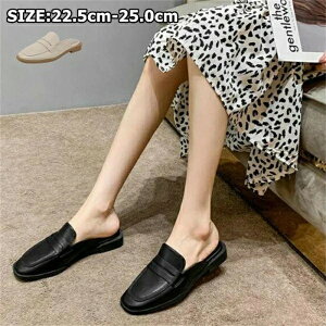 pvX fB[X@ɂȂ LC q[2.5cm q[ ₷ Ȃ@XNGAgD@~[ pvX@Xbp@fB[X@q[ T{T