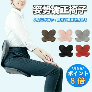 yIXX-8{zpPAV[g X^C n  ␳ ֎q p ֎q 邾ɂȂȂNbV ՃT|[g`FA y ^т₷ 120kg܂őΉ 