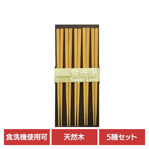 yFo^ōő1,500~N[|zLb`pi H Jg[  qp @p 5 41 H@Ή qp { Ɋ~߉H ͂  Vv 5V VR ig y