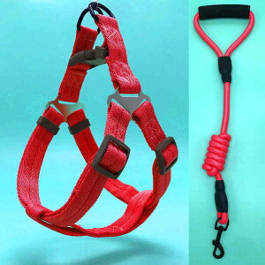 n[lX [h RtH[g X|[gn[lX iCNbV RtH[gn[lX  X|[cn[lX ̃n[lX ̓