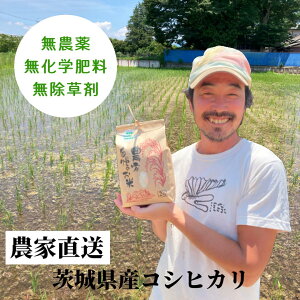 yߘa7NxYVāzȂݔ_@_Ew엿E܂ňĂꂽ