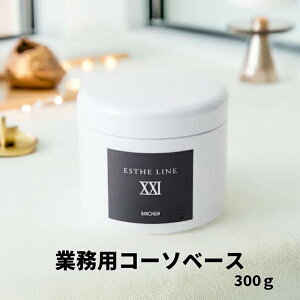 rR[Q R[\x[X 300g YEێqpN[rỹ`Jőf͂OT|[g GXeTlꔄi  F z mpx rh~ L𐮂