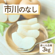 【送料無料】千葉県市川市産 市川のなし 予約販売 3kg 幸水 / 秋麗 / 豊水 / あきづき / かおり / 甘太 6…