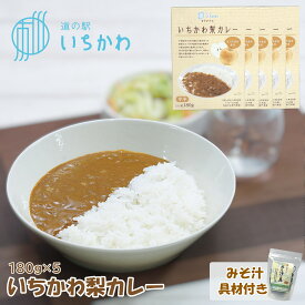 【道の駅いちかわオリジナル】いちかわ梨カレー 5個セット 180g みそ汁 具材 千葉県 市川市産 梨使用 ご当地 レトルト カレー フルーツカレー 中辛 本格派 常温保存 ギフト 誕生日 プレゼント お土産 名産 おすすめ 千葉県産 スパイス ペアリー石井園 浅海文左衛門農園 SDGs