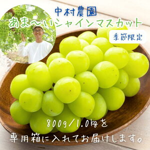 yTN[|zzzhV̓ Mtg VC}XJbg 800g 1[ x18-22x Gߌ  Y t[c ʕ 嗱 햳 Ԃǂ Ȃ ϔ Ε Mtg  ̓ 