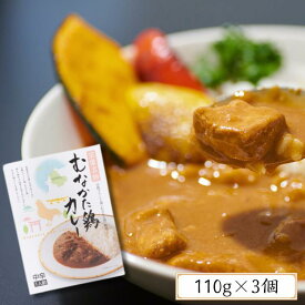 レトルトカレー 200g ×3箱 むなかた鶏 カレー 中辛 レトルト食品 カレーライス ブランド鶏 福岡 絶品 お取り寄せ グルメ 父の日 送料無料