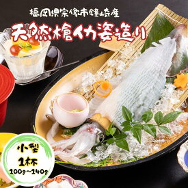 【7月15日 限定クーポン】父の日 お中元 ギフト 国産 いか 刺身 イカ 姿造り 刺身 100g-140g 活イカ 1杯 烏賊 ヤリイカ 活造り【冷凍】敬老の日 イカ 九州 福岡 鐘崎産 天然 槍いか 新鮮 おつまみ お歳暮 父の日 贈答 お取り寄せ グルメ いかそうめん 海の幸 海産物 送料無料