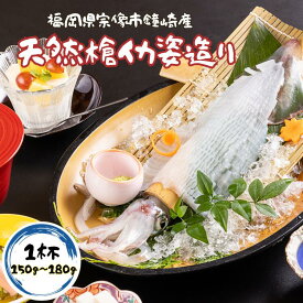 【7月15日 限定クーポン】父の日 お中元 ギフト 国産 いか 刺身 イカ 姿造り 刺身 150g-180g 活イカ 1杯 烏賊 ヤリイカ 活造り【冷凍】お歳暮 敬老の日 イカ 九州 福岡 鐘崎産 天然 槍いか 新鮮 おつまみ お歳暮 贈答 お取り寄せ グルメ 槍イカ いかそうめん 海産物 送料無料