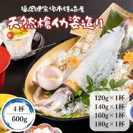 【7月15日 限定クーポン】父の日 お中元 ギフト 国産 いか 刺身 イカ 姿造り 刺身 120g〜180g 計600g 活イカ 4杯 烏賊 ヤリイカ 活造り【冷凍】 敬老の日 イカ 九州 福岡 鐘崎産 天然 槍いか おつまみ お歳暮 贈答 お取り寄せ グルメ 槍イカ いかそうめん 送料無料
