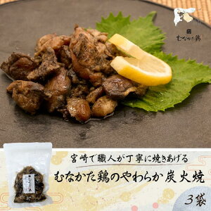 炩 n{  YΏĂ 360g (120g 3) gg Hi {YΏ  hV̓ Mtg  Y { { ܂ Ē  o[xL[ BBQ H ۑH hЃObY B yY 