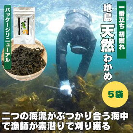 【新物】　漁師が厳選したわかめ使用　「献上わかめ 地島天然わかめ（一番立ち 初獲れ）」×5袋　【冷蔵】【令和6年産】