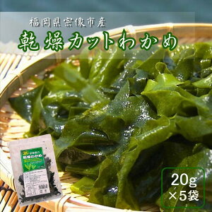 y_tf[P5{z킩 Jbg킩 20g ×5 킩ߓVR킩ߎgp Y  @Y Jbg킩   ~l r^~ JVE H@ J 