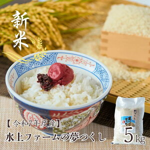 y29܂ł̃N[|zzzY   5kg~20kg t@[  5kg  hV̓ Mtg B  Yn  uh ~ O  c