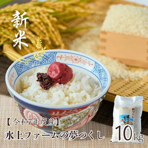 y25N[|zzzY   10kg t@[  5kg ×2  hV̓ Mtg B  Yn  uh ~ O  c 