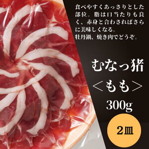 hV̓ Mtg CmVV (ނȂ)  300g ×2M yⓀz ̂   Yn Hi o[xL[ BBQ o[Xf[ a fBi[ O Ε Mtg   p