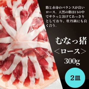 y25N[|zzzhV̓ Mtg CmVV (ނȂ) [X 300g ×2M yⓀz ̂   Yn Hi o[xL[ BBQ o[Xf[ a fBi[ O 