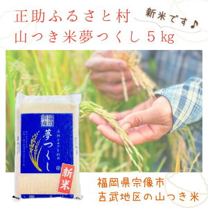 y25N[|zzzY   5kg~20kg ӂ邳Ƒ  5kg R hV̓ Mtg  B  Yn  uh V ~ O  