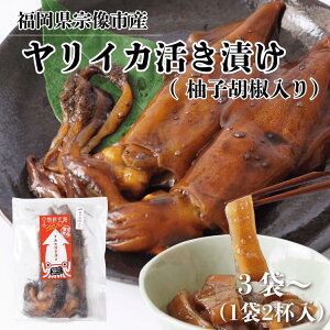  CJ Ђ (MqӞ) 3(v6t)` CJ hg yⓀz Y  VR CJ B @Y Y ܂ VN т̂ Ε Mtg  ̓ hV̓  