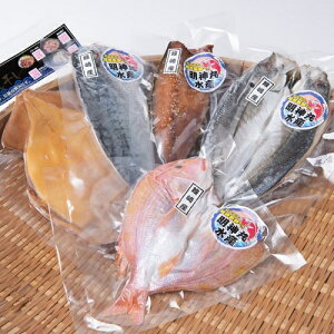 _ېY  5_Zbg yⓀz  ăMtg  Zbg  E  O ܂ o[xL[ BBQ Lv ̓ Mtg 蕨 ̓  G CN  