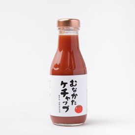 ケチャップ 360g ×3本 トマトケチャップ 瓶入り 九州 福岡 お取り寄せ ギフト 手土産 調味料 濃厚 送料無料