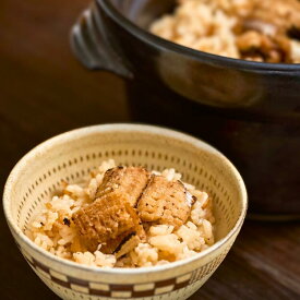 【12/15限定クーポン＆P5倍】国産 天然 あなごめし 2合 ×1セット 計2合 アナゴ 炊き込みご飯 素 レトルト お歳暮 ギフト 玄界灘 鐘崎産 穴子 お土産 炊き込みご飯の素 釜めし 釜飯 道の駅 九州 福岡 お中元 父の日 お取り寄せ グルメ 海鮮 魚介 海の幸 送料無料