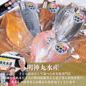 _ېY  5_Zbg yⓀz  ăMtg  Zbg  E  O ܂ o[xL[ BBQ Lv ̓ Mtg 蕨 ̓  G CN  
