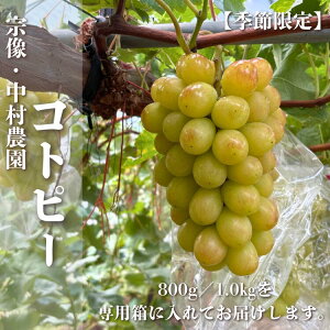 Rgs[ 800g 1[ x18-22x Gߌ  Y t[c ʕ 嗱 햳 Ԃǂ Ȃ ϔ Ε hV̓ Mtg  ̓ ̓ j a  Mtg O f