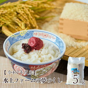 ���Ε� �����Y ���� �� 10kg ����t�@�[���� ������ 5kg ×2�� ���� �h�V�̓� �M�t�g ��B ���� �Y�n���� ������ �u�����h�� ���~�� �O���� ������������ �c�������� �v���[���g ���蕨 ��