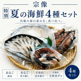 【7月15日 限定クーポン】宗像夏の天然海鮮4種セット（あなご刺し・炙り刺し・ヤリイカ活き漬け・真ダコ）【冷凍】国産 天然 九州 宗像産 おつまみ 新鮮 ご飯のお供 お歳暮 ギフト お中元 敬老の日 贈答 お取り寄せ グルメ 送料無料